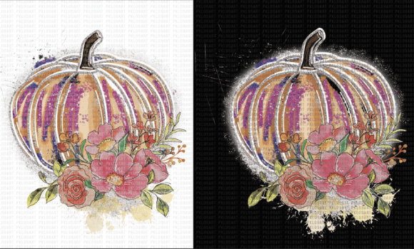 Floral Pumpkin Png: A Review for Graphics and Illustrations